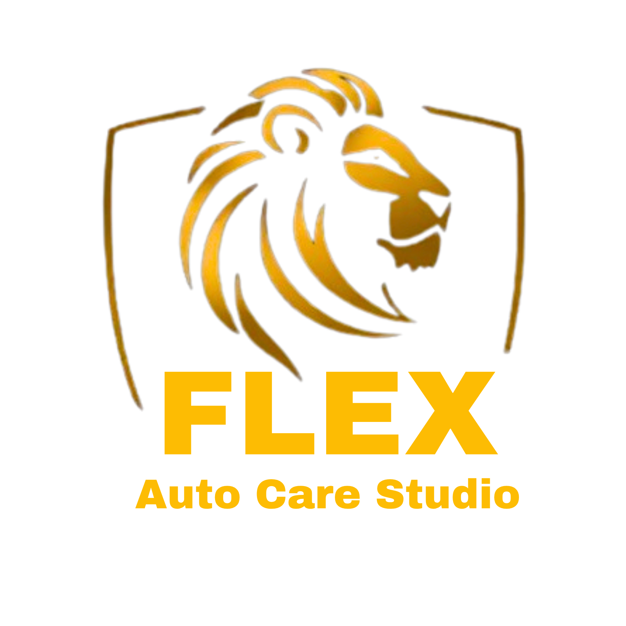 Flex Auto Care Studio